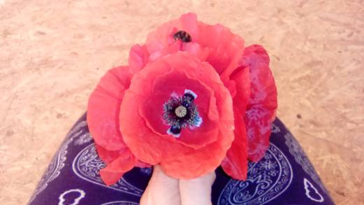 Fotografin Julia Christ